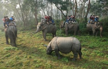 Experience 8 Days 7 Nights Kathmandu, Pokhara and Chitwan Vacation Package