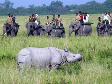 Ecstatic 3 Days 2 Nights Kaziranga Trip Package