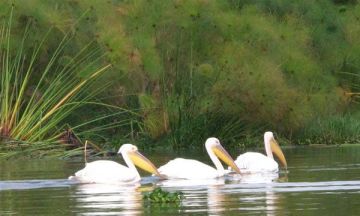 Beautiful 12 Days 11 Nights Kenya and Tanzania Trip Package