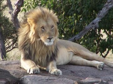 Ecstatic 4 Days 3 Nights Samburu Vacation Package