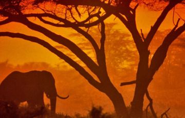 Ecstatic 4 Days 3 Nights Samburu Vacation Package