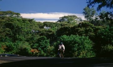 Best Kenya Tour Package for 13 Days 12 Nights