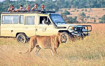 Best 7 Days 6 Nights Nairobi, Masai Mara, Lake Nakuru with Aberdares Vacation Package