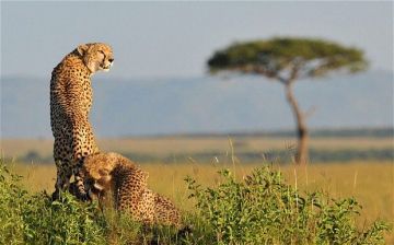Family Getaway 6 Days 5 Nights Lake Nakuru Vacation Package