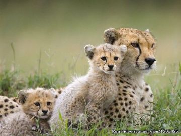 Best 9 Days 8 Nights Nairobi, Samburu, Lake Nakuru and Masai Mara Trip Package