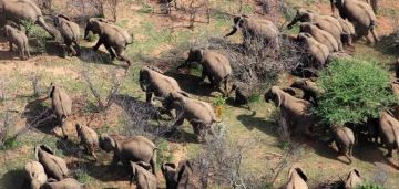 Memorable 8 Days 7 Nights Amboseli National Park, Aberdares National Park with Nakuru National Park Holiday Package