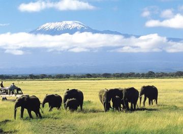 Memorable 8 Days 7 Nights Amboseli National Park, Aberdares National Park with Nakuru National Park Holiday Package