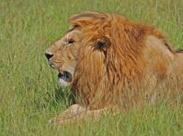 Magical 7 Days 6 Nights Aberdare National Park Holiday Package