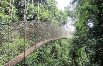 3 Days 2 Nights Indian Birds, Bharatpur Bird Sanctuary, Rajasthan Wildlife with Rajasthan Tour Package