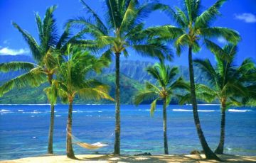 Beautiful 16 Days 15 Nights Kumarakom Vacation Package