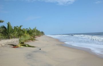 Amazing 6 Days 5 Nights Marari Holiday Package