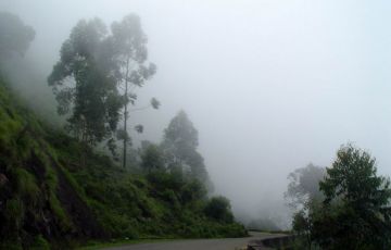 6 Days 5 Nights Kochi, Munnar, Thekkady, Periyar with Alleppey Holiday Package