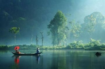 Memorable 4 Days 3 Nights Cochin, Munnar, Thekkady and Alleppey Vacation Package