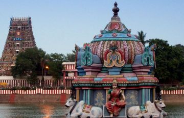 Beautiful 5 Days 4 Nights Thiruvananthapuram, Kovalam, Alleppey, Thekkady, Munnar and Cochin Tour Package