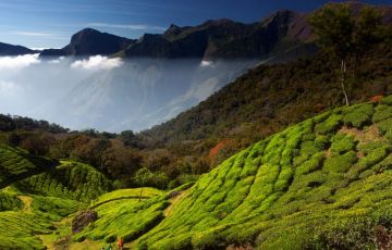 Experience 3 Days 2 Nights Munnar Trip Package