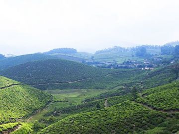 Best 9 Days 8 Nights Kumarakom, Periyar, Thekkady, Kodaikanal and Munnar Tour Package