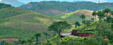 Experience 4 Days 3 Nights Munnar Vacation Package