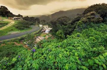 Experience 3 Days 2 Nights Tholpetty Trip Package