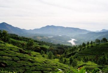 Beautiful 4 Days 3 Nights Kerala Vacation Package