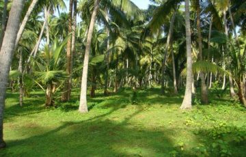 9 Days Munnar to Thekkady Vacation Package