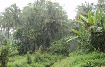Ecstatic 8 Days 7 Nights Kumarakom Trip Package