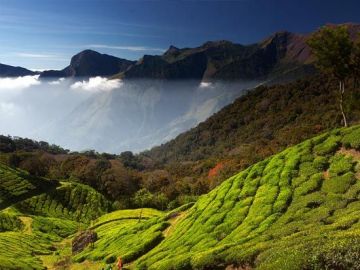Best 5 Days 4 Nights Cochin, Munnar, Thekkady with Alleppey Trip Package