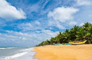 Family Getaway 7 Days 6 Nights Cochin, Munnar, Thekkady, Alleppey and Kovalam Tour Package