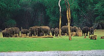 Beautiful Athirapally Tour Package for 9 Days 8 Nights