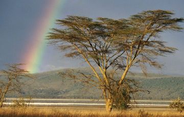 3 Days 2 Nights Lake Nakuru Trip Package