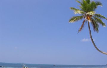 Beautiful Cochin Tour Package for 7 Days 06 Nights