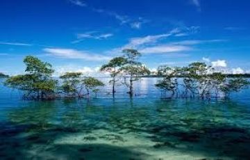 Beautiful 4 Days 3 Nights Port Blair, Carbyns Cove Beach, North Bay Coral Island, Ross Island and Havelock Tour Package