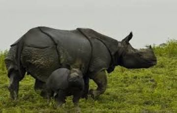 Magical 10 Days 9 Days Guwahati Holiday Package