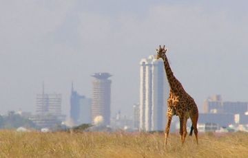 Best 3 Days 2 Nights Maasai Mara Tour Package
