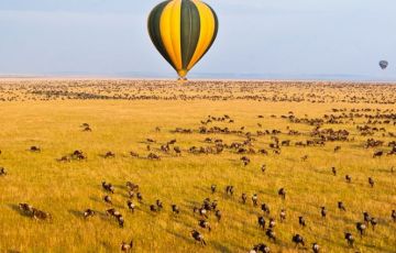 Memorable 3 Days 2 Nights Nairobi with Masai Mara Trip Package