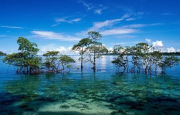 Amazing 5 Days 4 Nights Coral Island Holiday Package