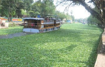 4 Days Cochin to Alleppey Tour Package