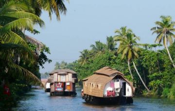 Ecstatic 8 Days 7 Nights Cochin Honeymoon Tour Package