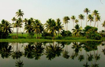 Magical 8 Days 7 Nights Thekkady Tour Package