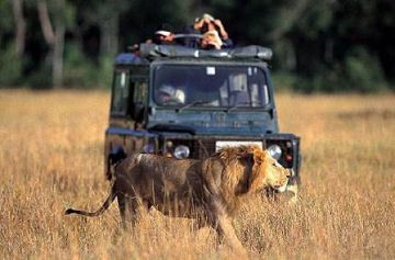 4 Days 3 Nights Masai Mara Holiday Package