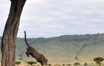 Heart-warming 6 Days 5 Nights Masa Mara Vacation Package