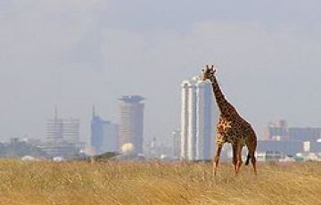 7 Days Nairobi to Mount Kenya Trip Package