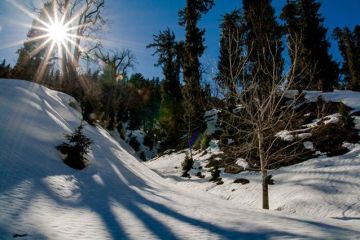 Best 5 Days 4 Nights Shimla and Manali Tour Package