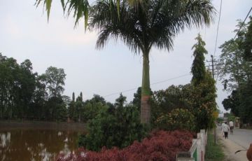 Amazing Tawang Tour Package for 14 Days 13 Nights