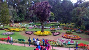 Best 4 Days Mysore to Ooty Holiday Package