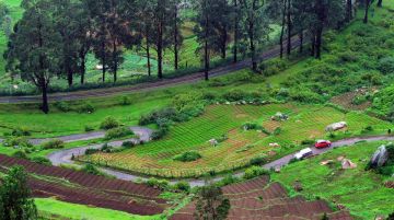 Beautiful 3 Days Ooty Hill Stations Tour Package