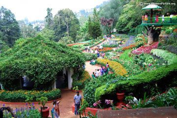 Beautiful 3 Days Ooty Hill Stations Tour Package