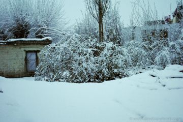 4 Days Manali to Kullu Vacation Package