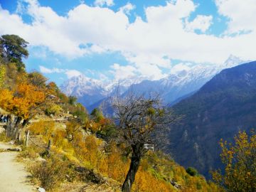 Magical 3 Days Shimla with Kufri Tour Package