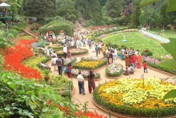 5 Days 4 Nights New Delhi to Coonoor Snow Trip Package