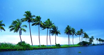 Magical Munanr Tour Package from Cochin